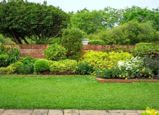 landscaping services D'Iberville